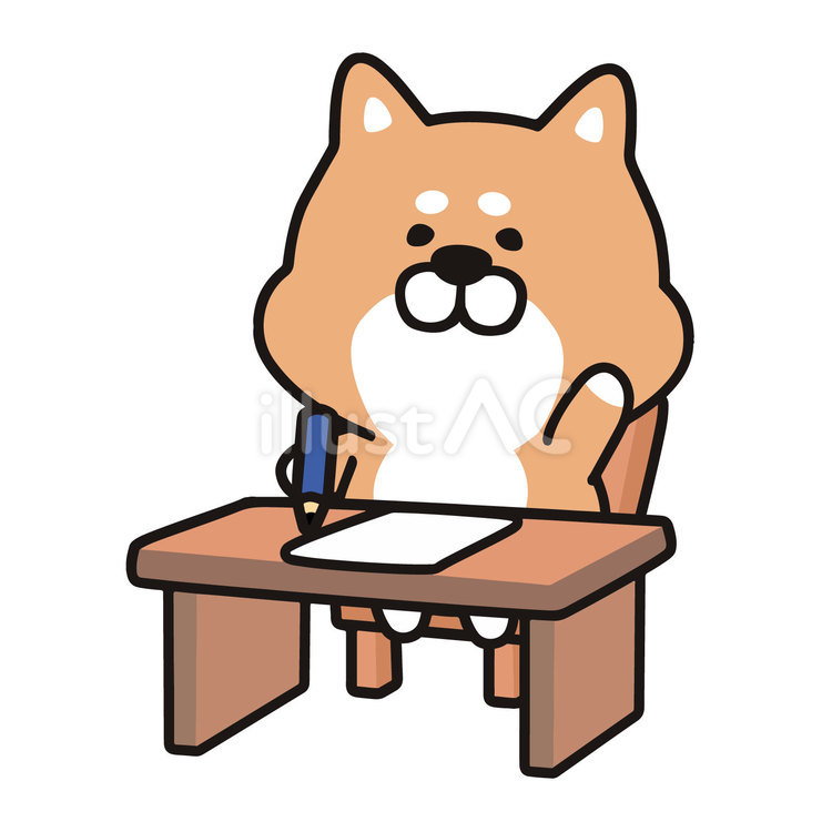 先生！当ててください 犬,柴犬,動物のイラスト素材
