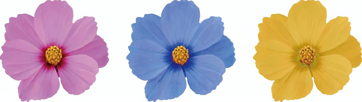 リアルなコスモス コスモス,花,ピンク,青,黄色,秋のイラスト素材