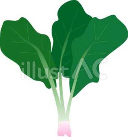ほうれん草