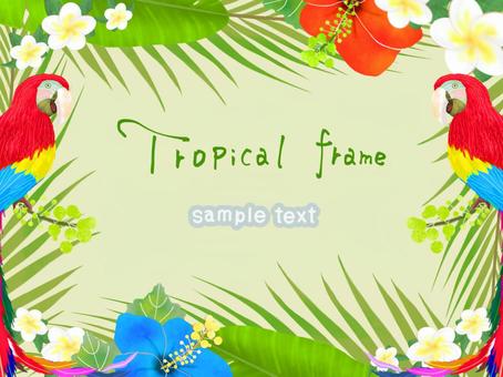 Tropical frame, tropical, southern country, plant, JPG and PNG