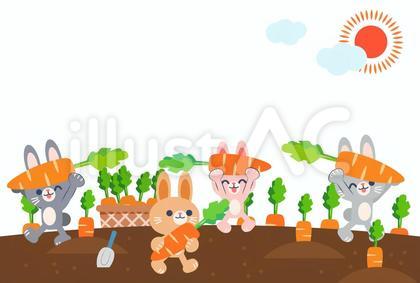 にんじん畑から収穫するウサギのイラスト