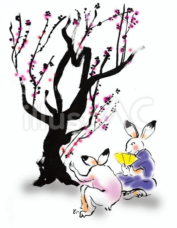 鳥獣戯画風　梅を愛でるうさぎ 梅,うさぎ,鳥獣戯画のイラスト素材