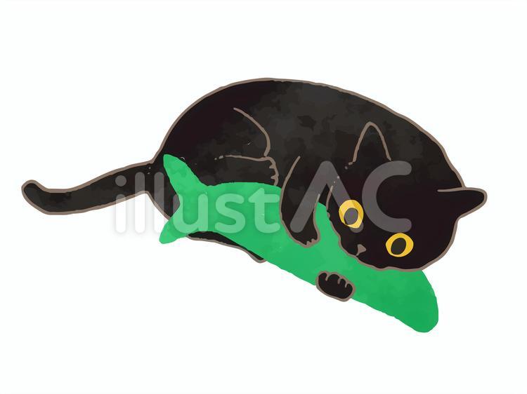 けりぐるみで遊ぶクロネコ 猫,ねこ,黒猫のイラスト素材