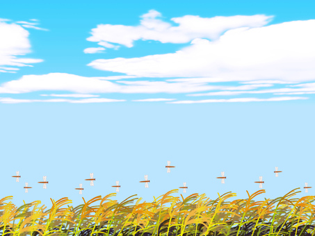 秋空と赤とんぼとすすき 赤とんぼ,とんぼ,たくさん,群れ,飛ぶ,舞う,すすき,野原,田舎,秋晴れのイラスト素材