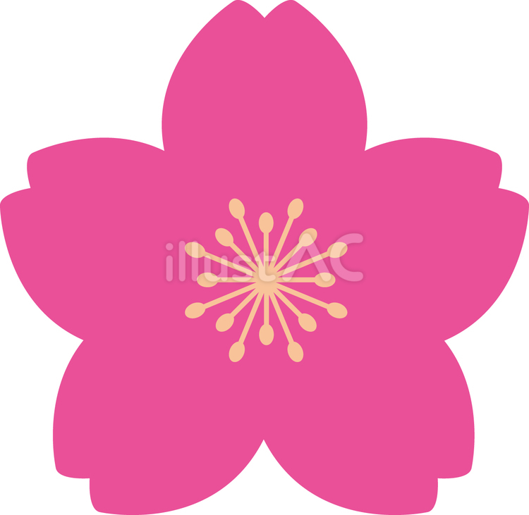 桜のアイコン10 桜,アイコン,あしらいのイラスト素材