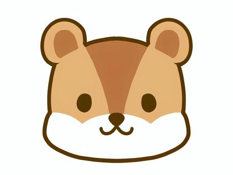 松鼠休息, JPG 和 PNG 松鼠休息, 松鼠, 動物, 小動物, JPG 和 PNG