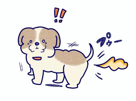 自分のおならに驚くシーズー犬 犬,シーズー犬,おなら,驚く,動物,保護犬,小型犬,体調不良,無料,イラストのイラスト素材