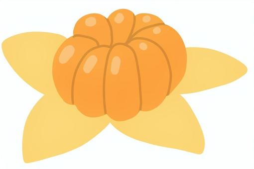 皮を剥いたみかん 皮,フルーツ,みかん,酸っぱい,柑橘類,手書き,食べ物のイラスト素材