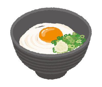 讃岐うどん うどん,手打ちうどん,ねぎ,きざみねぎ,麺類,和食,麺料理,昼食,夜食,讃岐うどんのイラスト素材