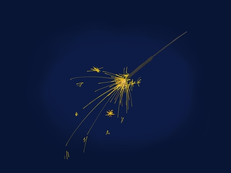 花火 夏,夜,花火,夏休み,夏の思い出のイラスト素材