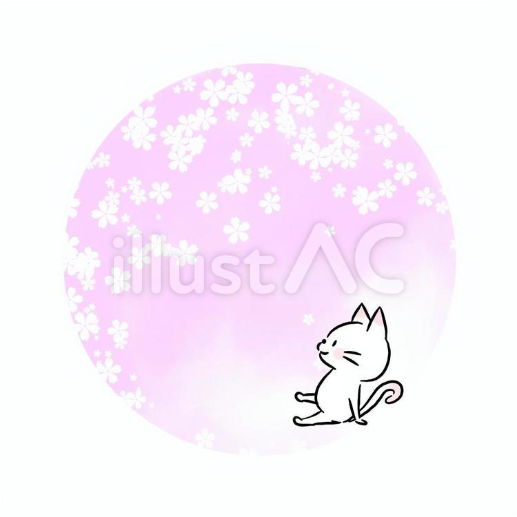さくらとねこ ねこ,動物,かわいいのイラスト素材