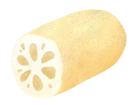 カットされた蓮根 蓮根,根菜,野菜,食材,植物,食べ物,具材,輪切り,和食,惣菜のイラスト素材