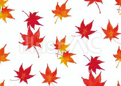 《水彩風》紅葉背景