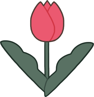 Illustration, tulip, flower, spring, JPG and PNG