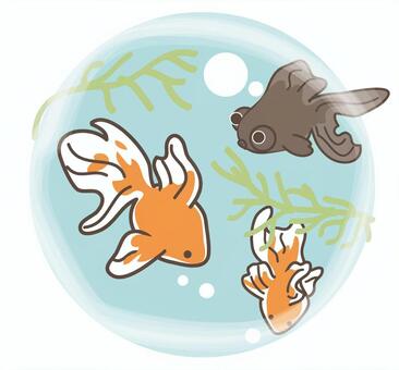 여름 12, JPG 및 EPS 여름 12, 여름, 시원한, 금붕어, JPG 및 EPS