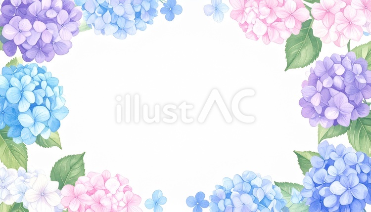 水彩のあじさい あじさい,水彩,フレームのイラスト素材