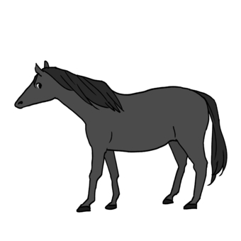 黒毛の馬の全身 馬,黒毛,全身,草食動物,かわいい,手描きのイラスト素材