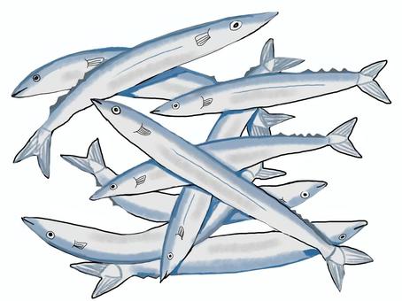 大漁のサンマ サンマ,魚,秋,大漁,たくさん,多い,数匹,群れ,釣り,魚屋のイラスト素材