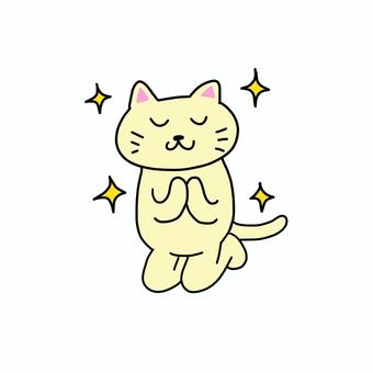 合掌 正座でお祈りするねこ 合掌 正座でお祈りするねこ ねこ,動物,キャラ,ポップ,かわいい,合掌,全身,キラキラ,輝く,光のイラスト素材