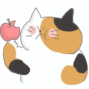 りんごを食べる三毛猫ちゃん♪ りんごを食べる三毛猫ちゃん♪ かわいい,りんご,果物,フルーツ,たべもの,食べる,おいしい,グルメ,ねこ,どうぶつのイラスト素材