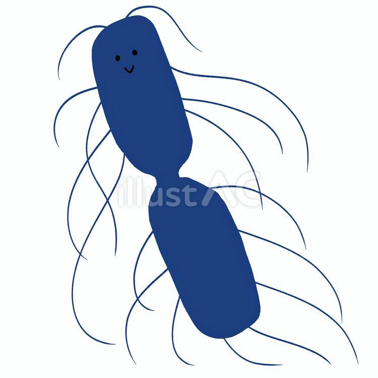 セレウス菌 セレウス菌,細菌,病原のイラスト素材