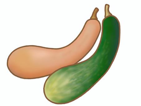鶴首かぼちゃ　２色 鶴首かぼちゃ,かぼちゃ,野菜,伝統野菜,食材,料理,食育,秋,冬,緑のイラスト素材