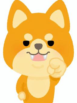 柴犬指差し 柴犬,指差し,注意,忠告,指示,意見,犬,ドッグ,動物,日本のイラスト素材