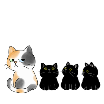順番に並ぶ猫たち　文字無し 猫,三毛猫,黒猫,順番,並ぶ,行列のイラスト素材