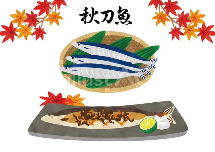秋刀魚　生と焼きセット　水彩 秋,紅葉,秋刀魚のイラスト素材
