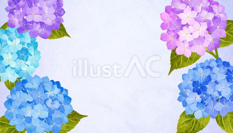 余白を活かしたミニマルな和紙と紫陽花 紫陽花,青,紫のイラスト素材
