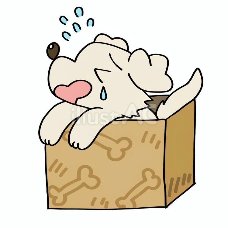 捨て犬のイラスト 犬,捨て犬,保護のイラスト素材