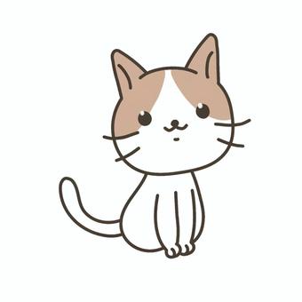ねこ