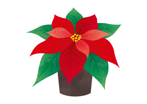鉢植えポインセチア1 鉢植えポインセチア1 ポインセチア,クリスマス,鉢植え,ガーデニング,飾り,インテリア,植物,12月,装飾,植木鉢のイラスト素材