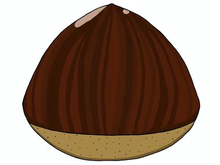 栗の実 栗の実 栗,実,植物,食べ物,秋,果実,茶色,一粒,光沢,つやのイラスト素材