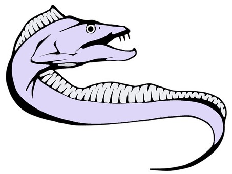 帶魚和箭魚, JPG 和 PNG 帶魚和箭魚, 帶魚, 劍鞘魚, 海鮮, JPG 和 PNG