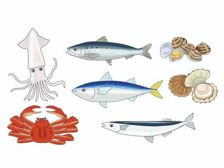 魚介類 魚介類,イカ,カニ,さんま,さば,イワシ,ホタテ,アサリ,かに,カイのイラスト素材
