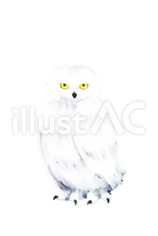 油絵風シロフクロウ 動物,かわいい,油絵のイラスト素材
