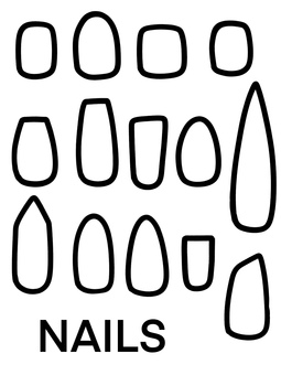 ネイルチップ ネイルチップ,爪,材料,線画,セット,形,種類,14個,ホビー,趣味のイラスト素材