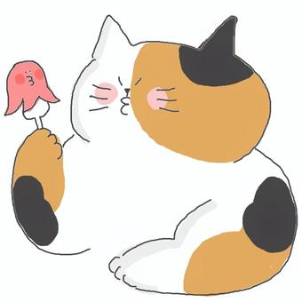 タコさんウインナー♪ かわいい,ウインナー,食べ物,いただきます,ねこ,三毛猫,動物,いきもの,ペット,タコのイラスト素材