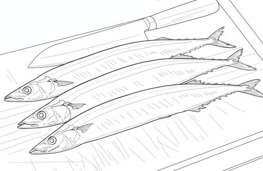 秋刀魚の塗り絵 秋刀魚,旬,魚,食べ物,生き物,塗り絵,秋のイラスト素材