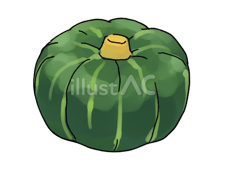 かぼちゃ かぼちゃ,野菜,緑黄色野菜のイラスト素材