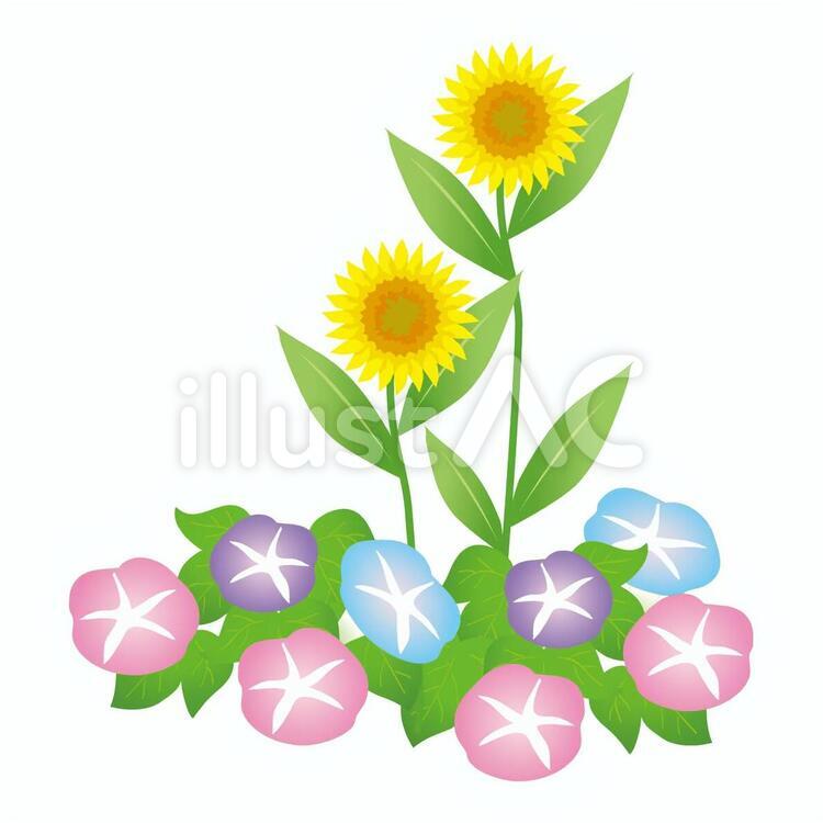 朝顔とひまわり エコ,環境,ワンポイントのイラスト素材
