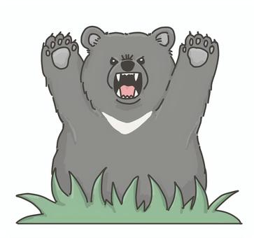 熊出没注意　ツキノワグマ　2 ツキノワグマ,熊出没注意,注意喚起,山登り,野生動物,熊注意,注意,登山のイラスト素材