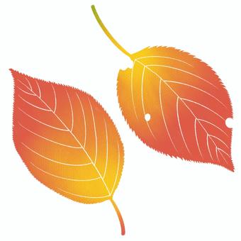 パステルタッチの桜の葉:紅葉2 桜の葉,紅葉,葉っぱ,手描き,パステル,きれい,秋,9月,10月,11月のイラスト素材