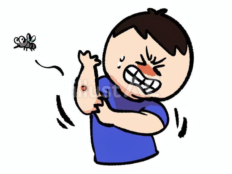 虫刺されのイラスト 虫刺され,かゆい,蚊のイラスト素材
