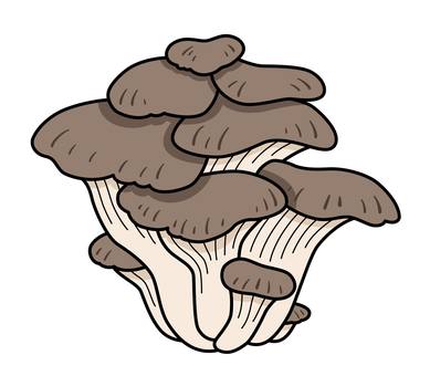 ヒラタケのアイコン