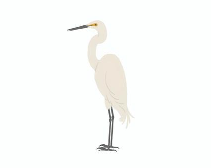 サギ02 サギ02 サギ,ダイサギ,鳥,野鳥,動物,自然,ナチュラル,手書き,ゆるいのイラスト素材
