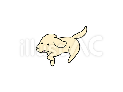 走る犬