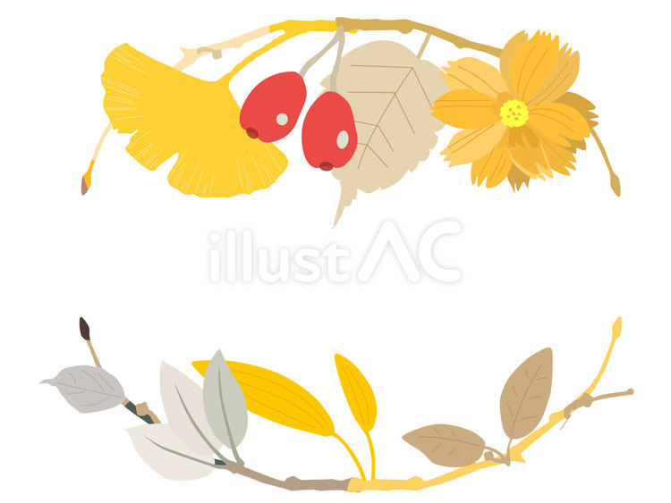 秋の飾り枠4＿紅葉とコスモス 秋,葉っぱ,イチョウのイラスト素材
