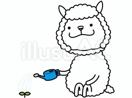 アルパカさん 栽培